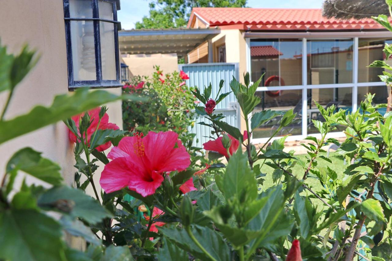 Bungalow Curro Pareja 97 โกนิล เด ลาฟรอนเตรา ภายนอก รูปภาพ
